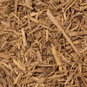 Muira Puama Root