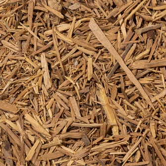 Muira Puama Root
